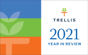 Trellis 2021 Year in Review cover