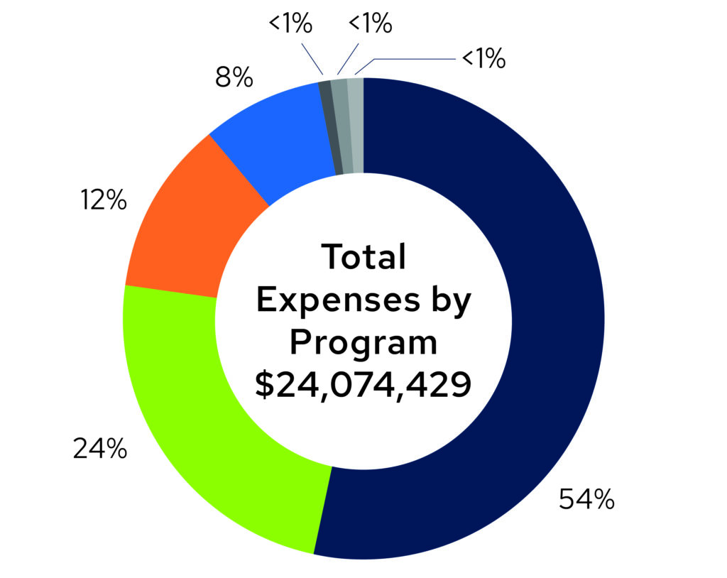 Total expenses pie graph.